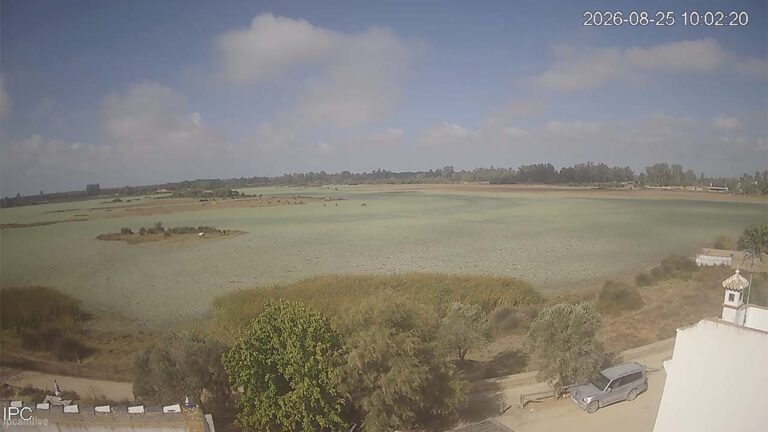 Webcam El Rocío 1 (Huelva) – Marisma en Almonte