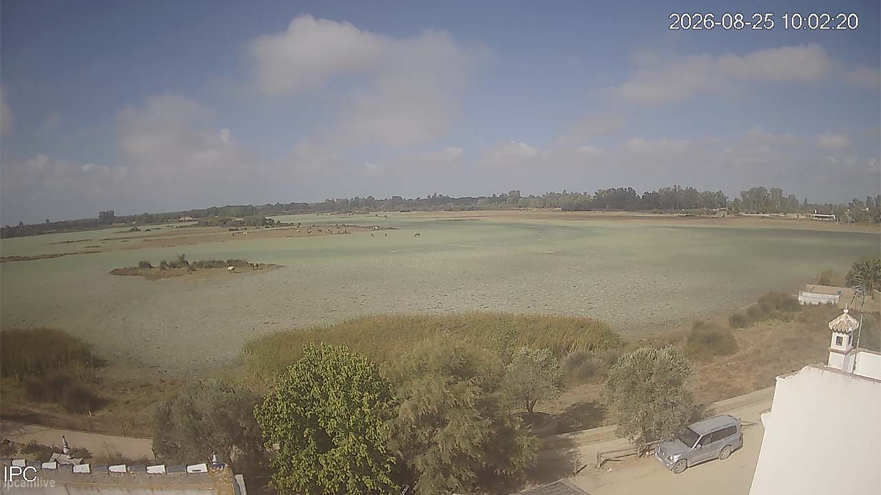 Webcam El Rocío 1 (Huelva) – Marisma en Almonte