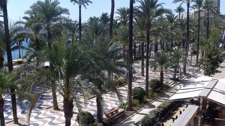 Webcam Alicante 1 – Paseo de la Explanada