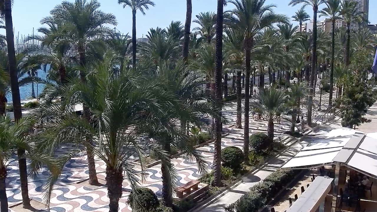 Webcam Alicante 1 – Paseo de la Explanada